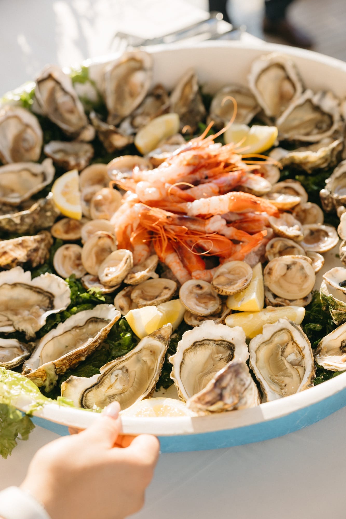 Crudo di mare servito a tavola